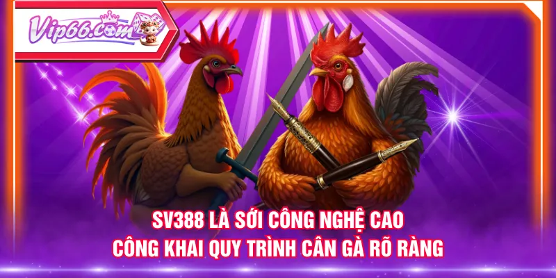 SV388 là sới công nghệ cao, công khai quy trình cân gà rõ ràng