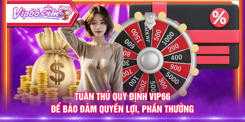 Tuân thủ quy định VIP66 để bảo đảm quyền lợi, phần thưởng